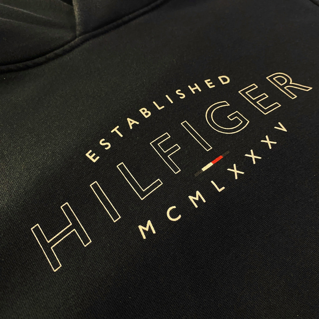 Sudadera Capucha Tommy Hilfiger Gráfico Established 1985 Azul Marino