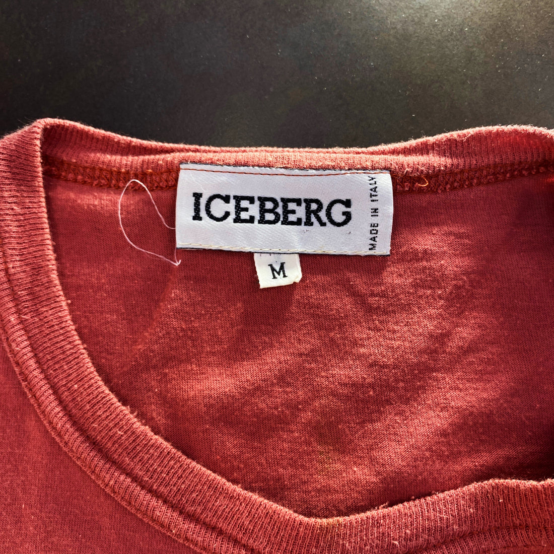 Camiseta Vintage Iceberg "Calamity Jake" Looney Tunes