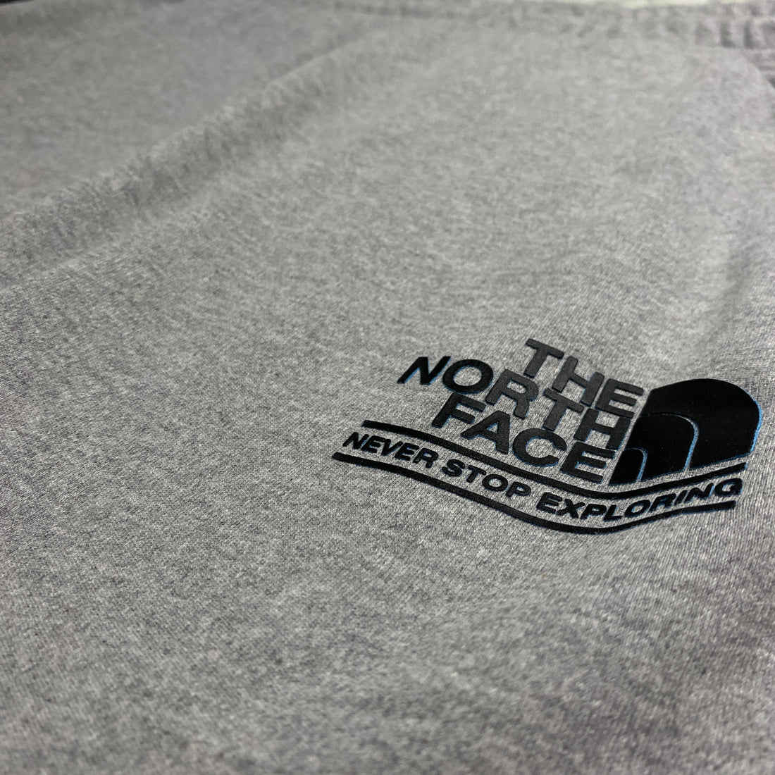 PANTALÓN CORTO THE NORTH FACE GRIS