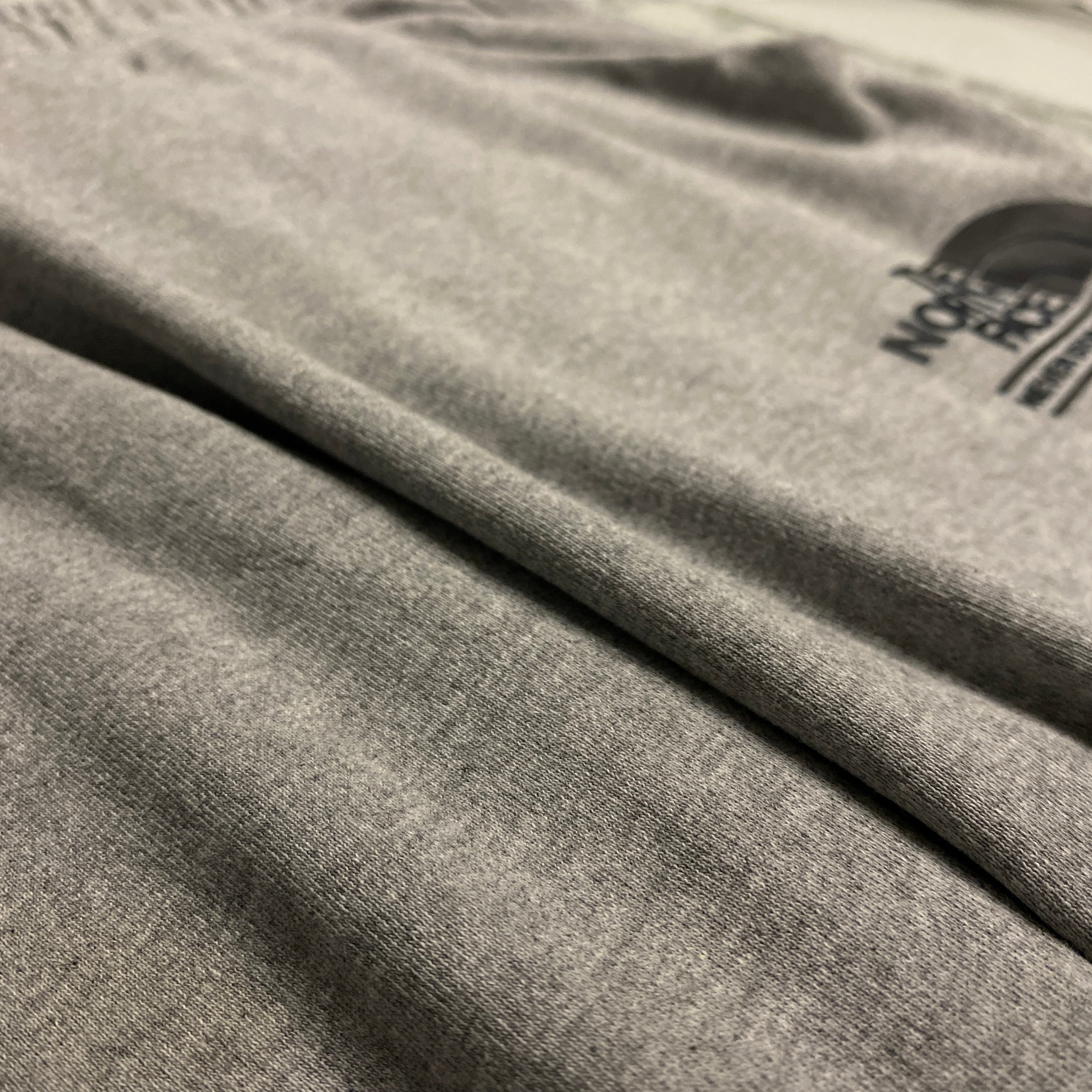 PANTALÓN CORTO THE NORTH FACE GRIS