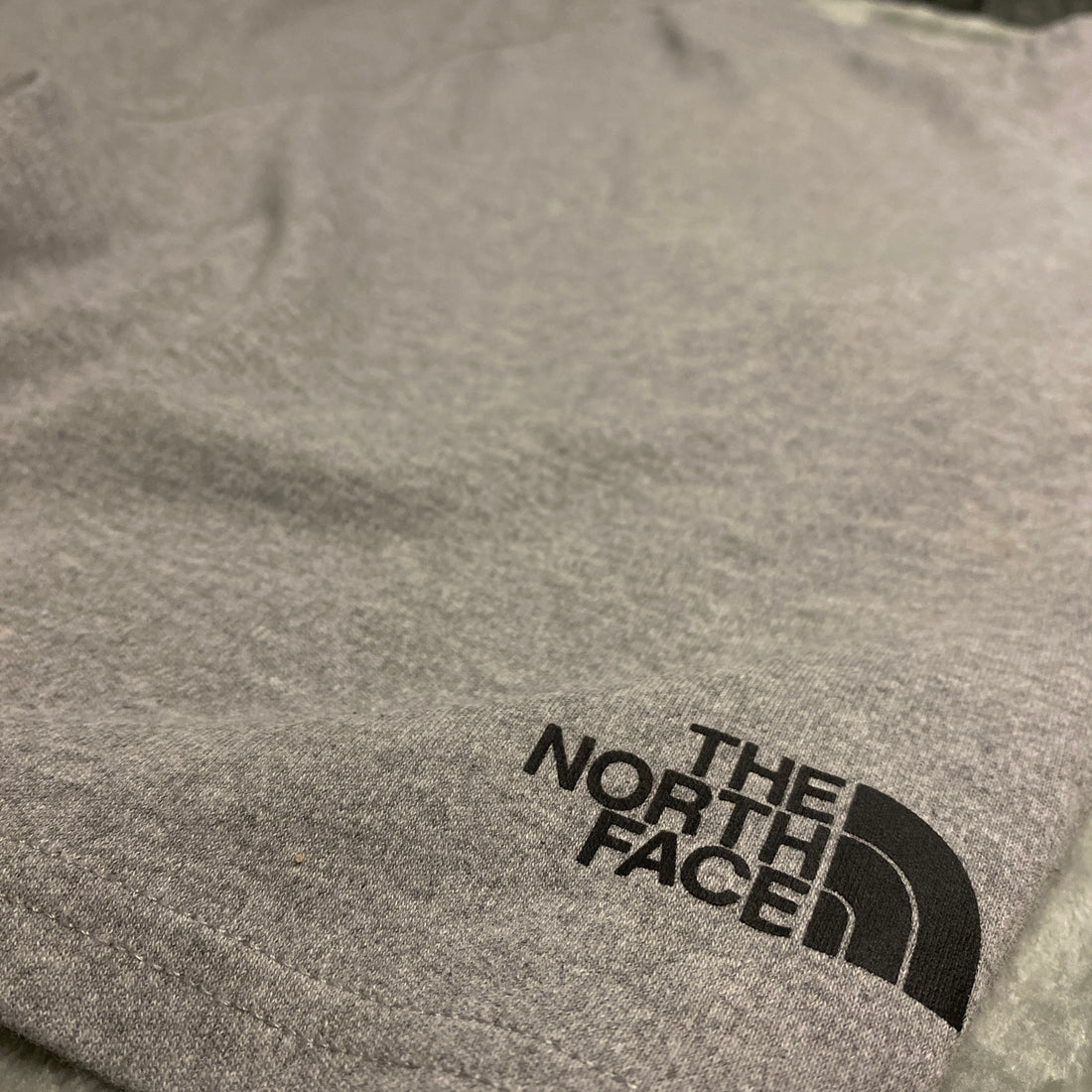 PANTALÓN CORTO THE NORTH FACE GRIS