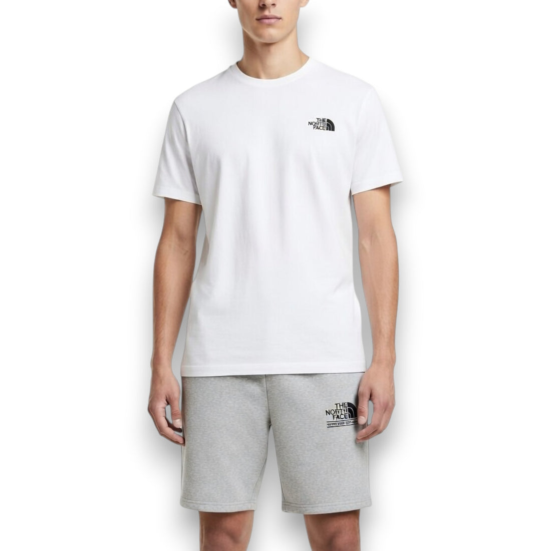 PANTALÓN CORTO THE NORTH FACE GRIS